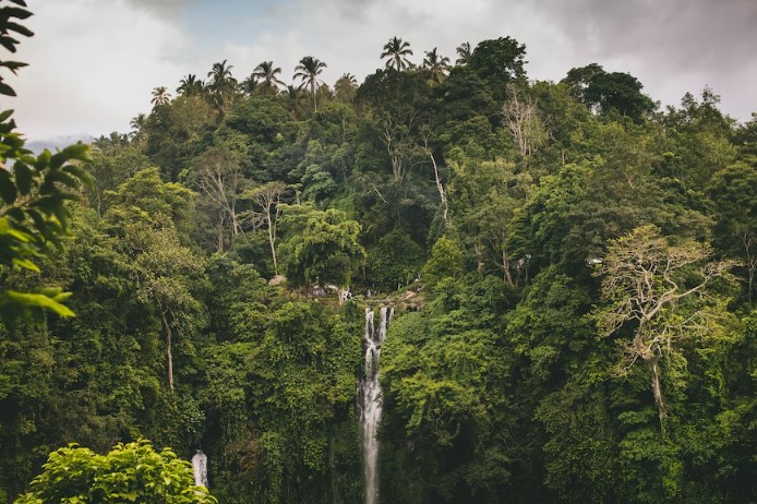 Menikmati Keindahan Wisata Air Terjun Di Bali Ubud Yang Tersembunyi