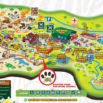 bali safari and marine park
