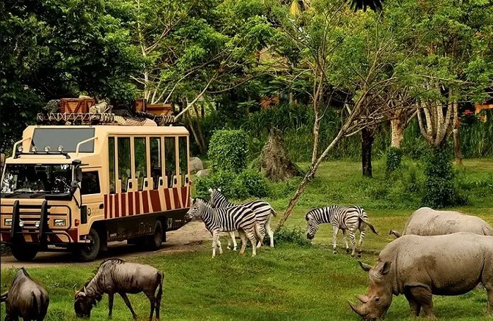bali safari zoo