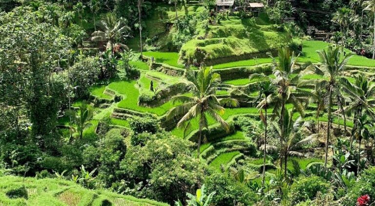 Teras Sawah Tegalalang Ubud