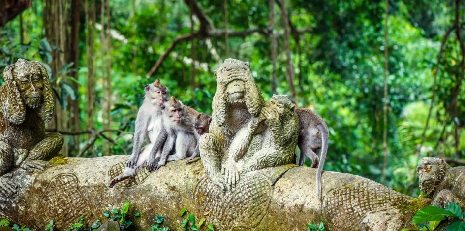 Sacred Monkey Forest Sanctuary Gianyar Bali