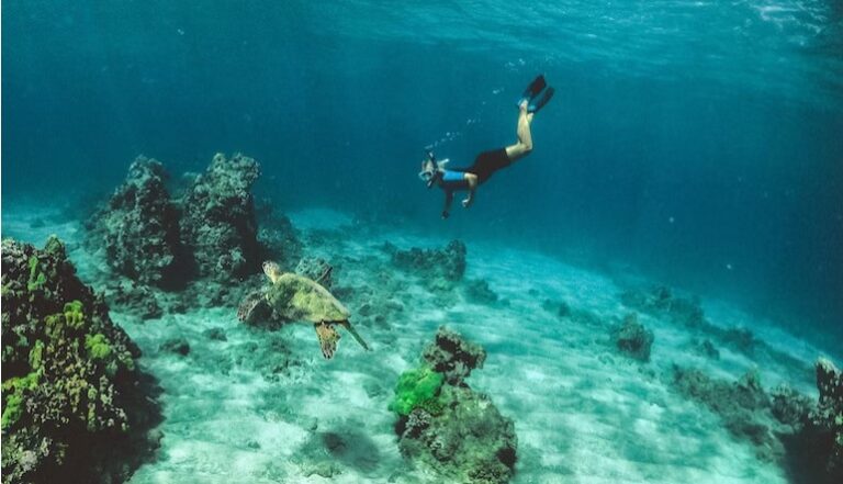 snorkeling di bali