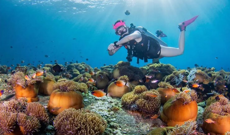 Tulamben Dive - Diving & Snorkeling Bali course
