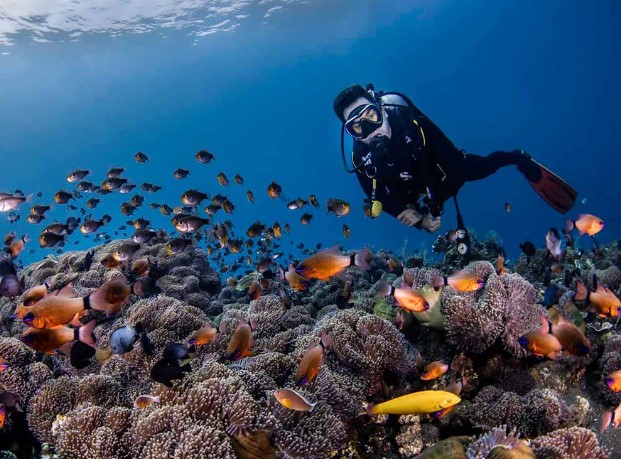 Tulamben dive photos
