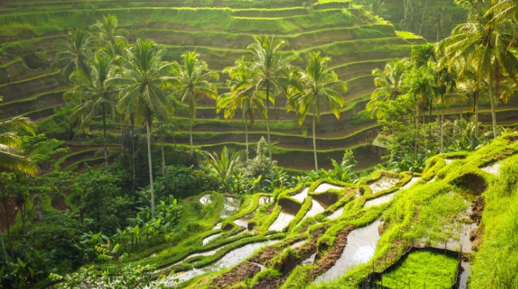 hari 1 itinerary bali 7 hari
