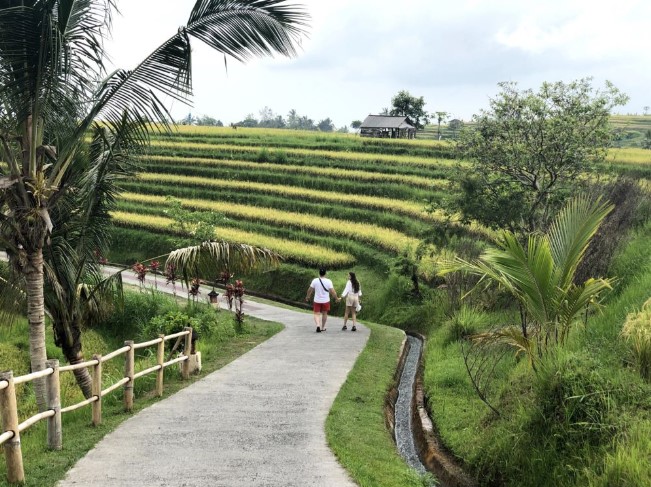 Jatiluwih Rice Terrace