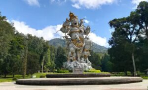 penginapan di bedugul