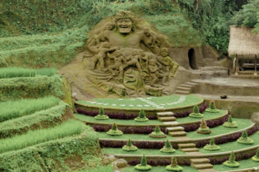 Alas harum bali tiket masuk