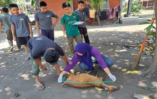 perburuan liar di tnbb