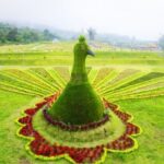 the blooms garden foto