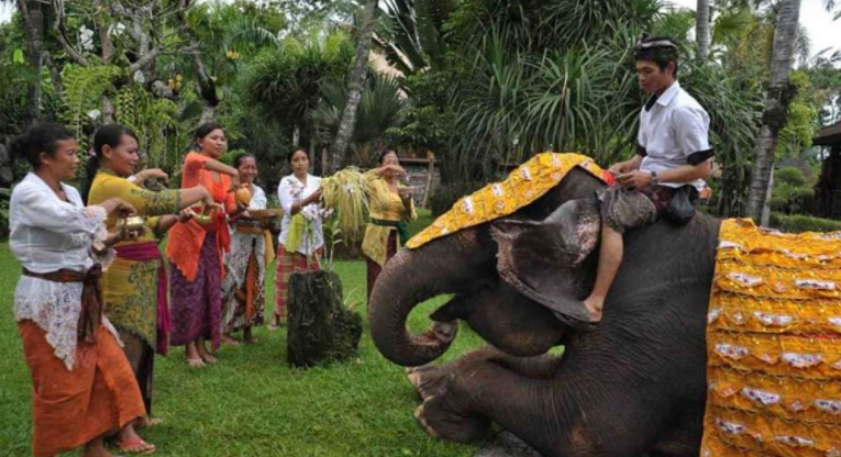 tumpek kandang adalah