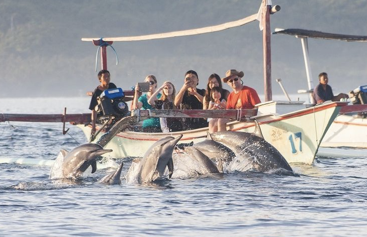 pantai lovina bali lumba lumba