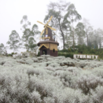 taman edelweiss bali