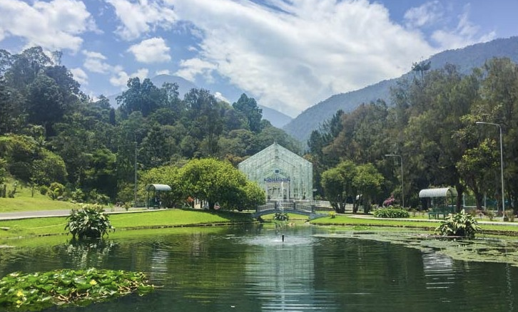kebun raya cibodas