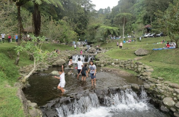 tiket masuk kebun raya cibodas
