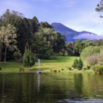 harga tiket masuk kebun raya cibodas