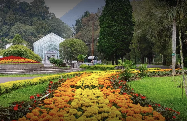 harga tiket masuk kebun raya cibodas