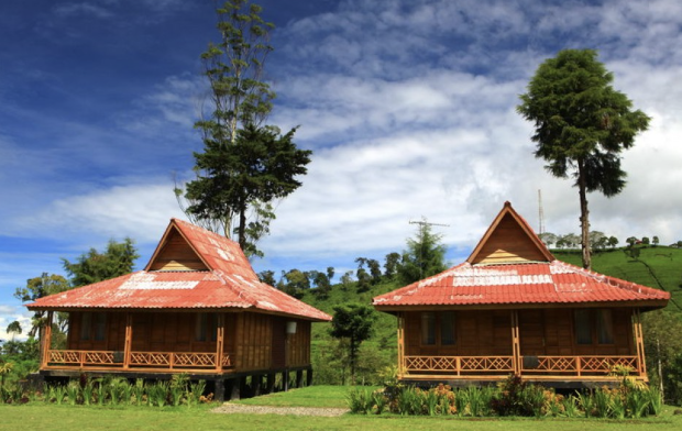 rumah kayu kelapa ciwidey