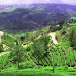 10 tempat wisata di pangalengan