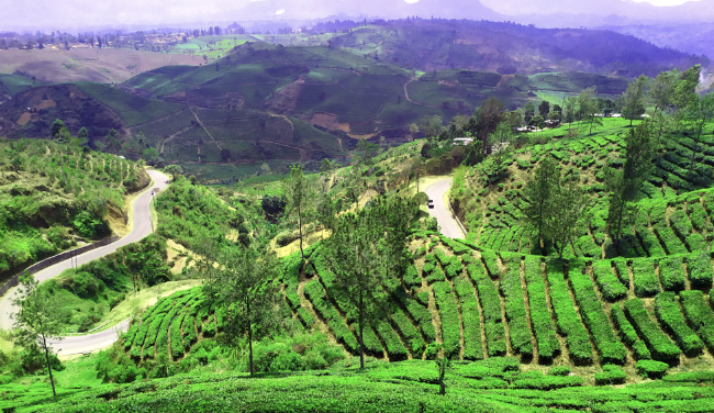 10 tempat wisata di pangalengan
