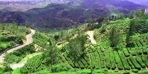 10 tempat wisata di pangalengan