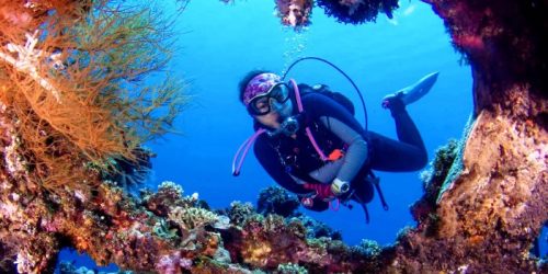 Tulamben Dive - Diving & Snorkeling Bali