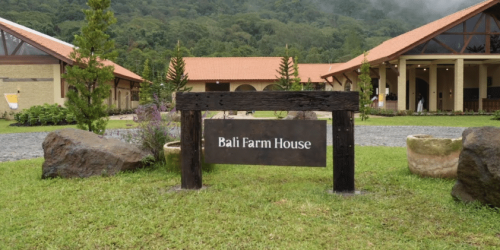 bali farm house bedugul