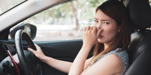 cara menghilangkan bau durian di mobil