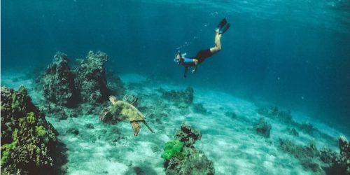 snorkeling di bali