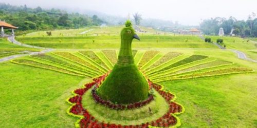 the blooms garden foto