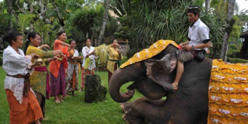 tumpek kandang adalah